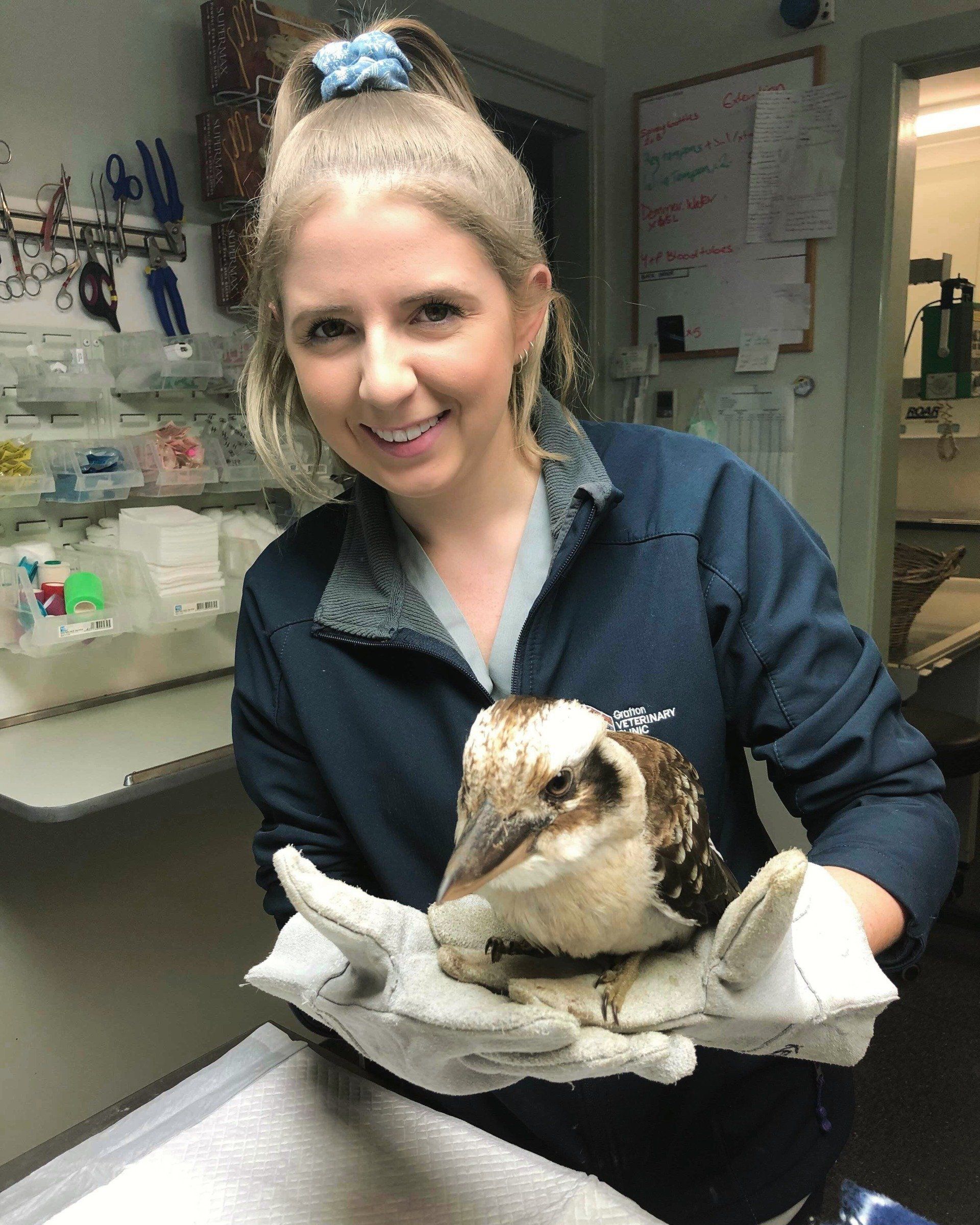 Vet nurse with bird - Grafton Vet