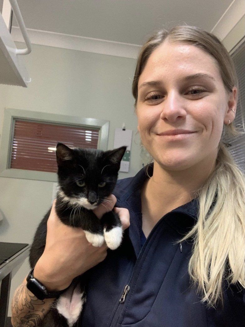 Vet nurse with kitten - Grafton Vet