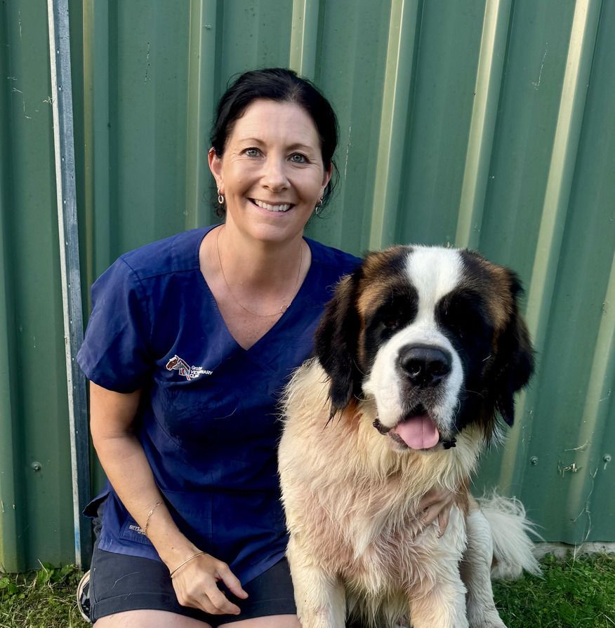 Vet Nurse Gabby — Animal Health Care in Grafton, NSW