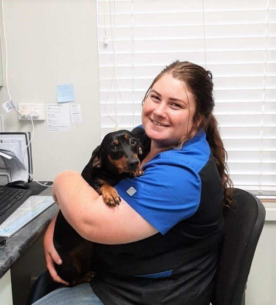 Dr Tamara — Animal Health Care in Grafton, NSW
