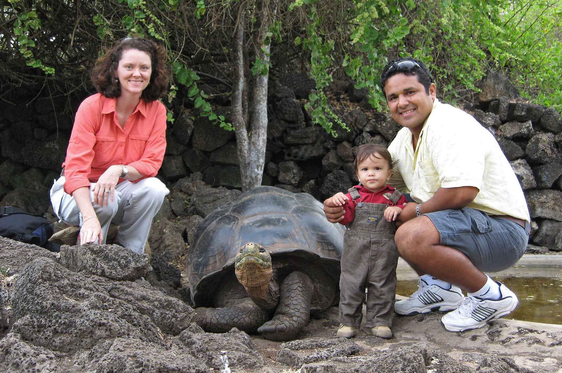 Family posing with a giant tortoise on rocky ground near greenery