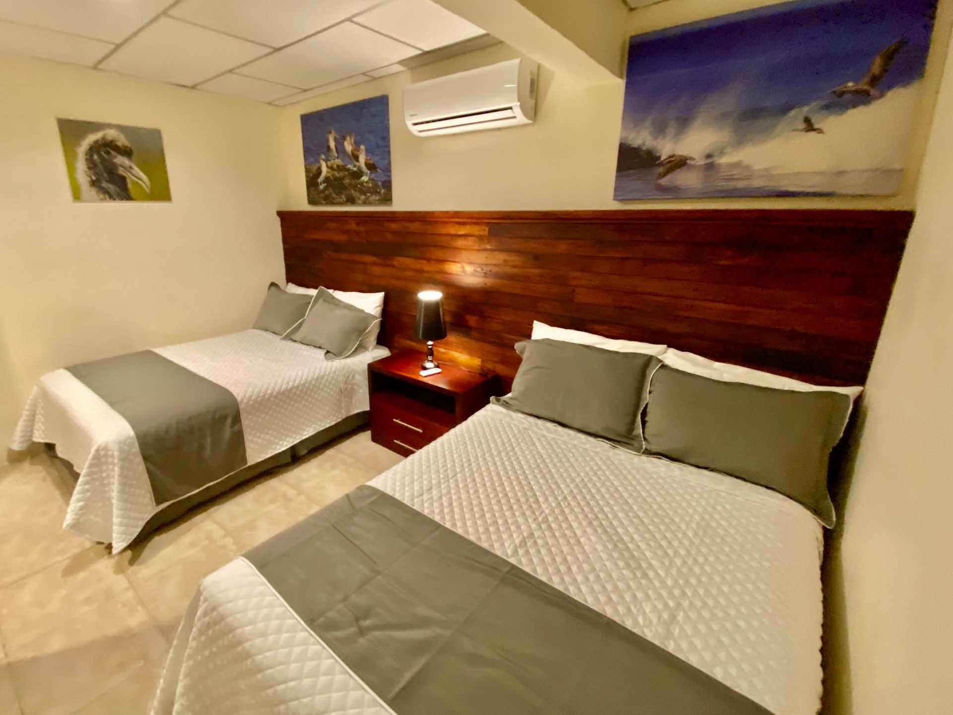 A Galapagos hotel room with two beds, gray and white bedding, wooden headboards, and artwork on the walls.
