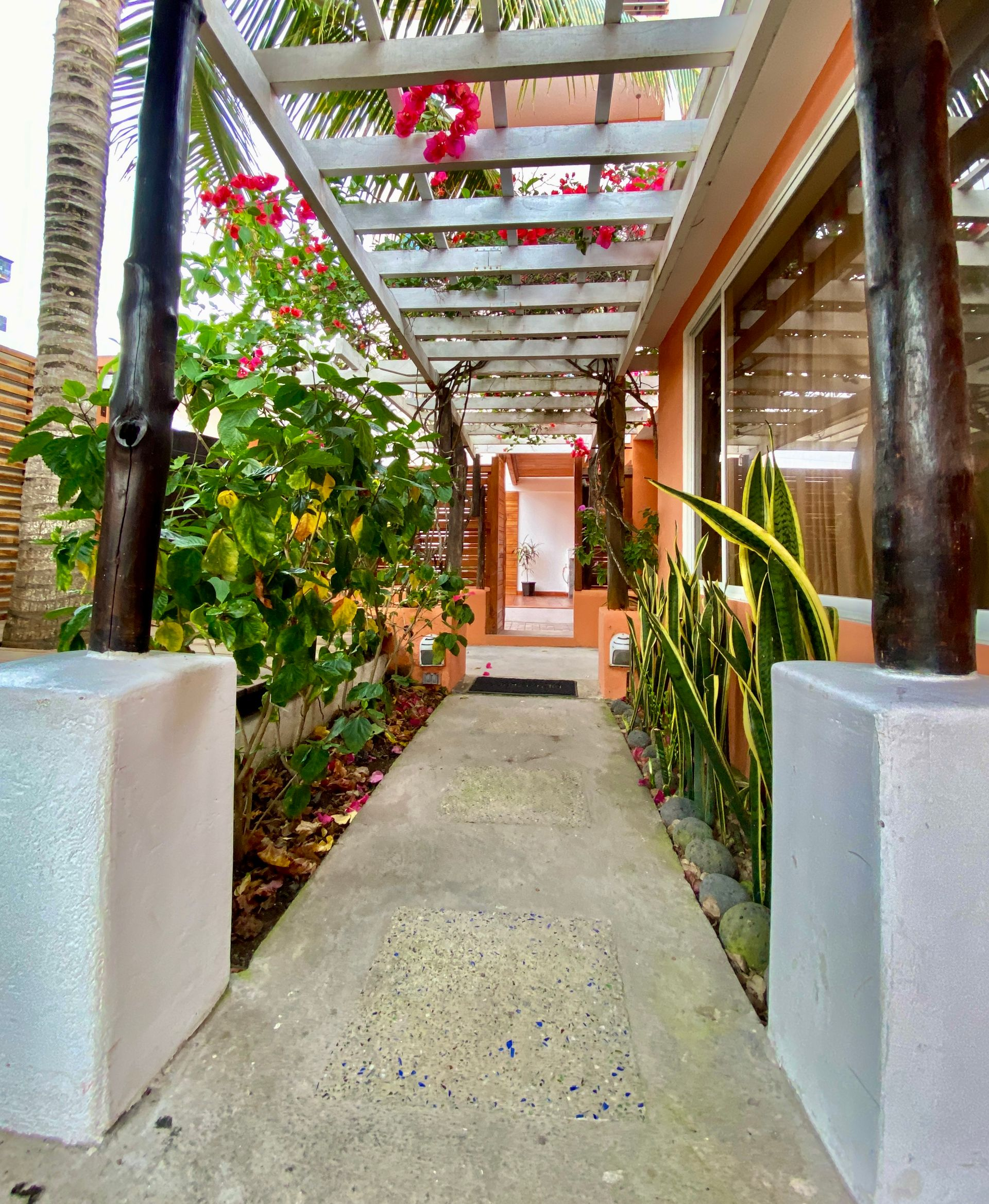Tropical garden walkway with pergola, white walls, and red flowers leading to a doorway
