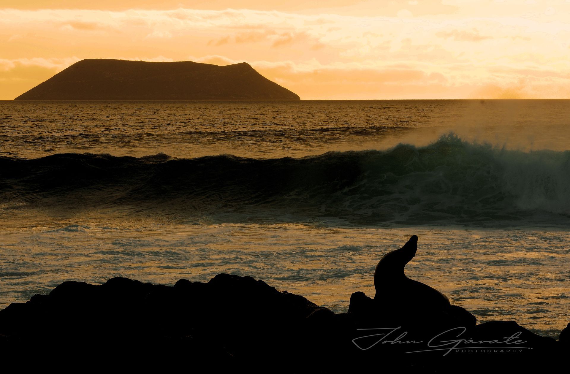 Silhouette of a sea lion on rocks at sunset with waves and a distant island in the background