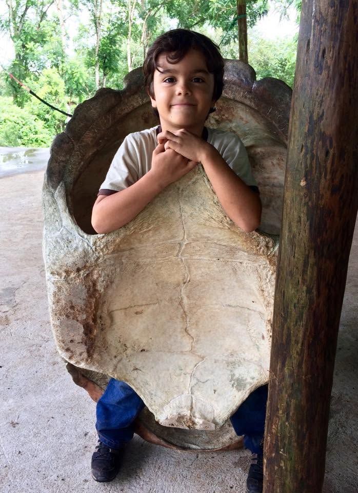 Child smiling inside a large hollow tortoise shell, outdoors with green foliage in the background