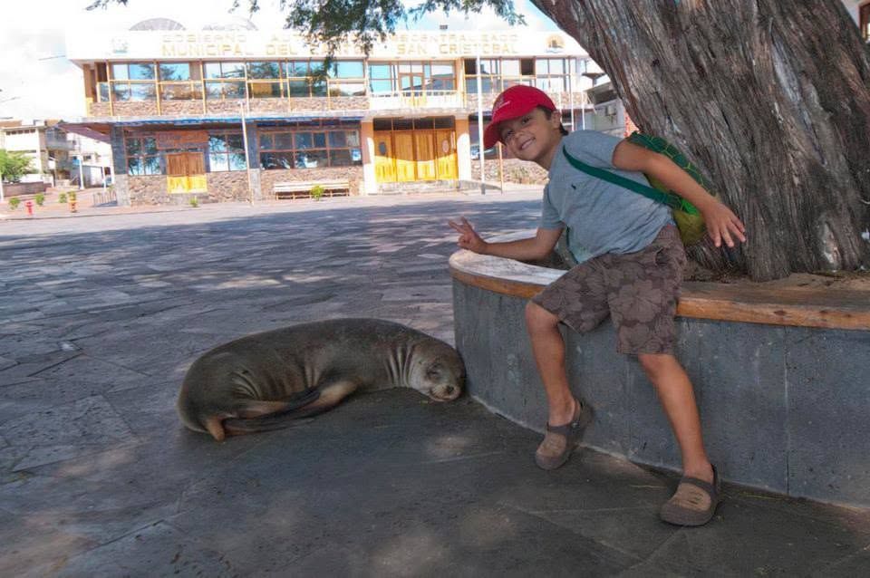A person in a red cap sits on a bench feeding a small seal near a tree in an outdoor plaza.