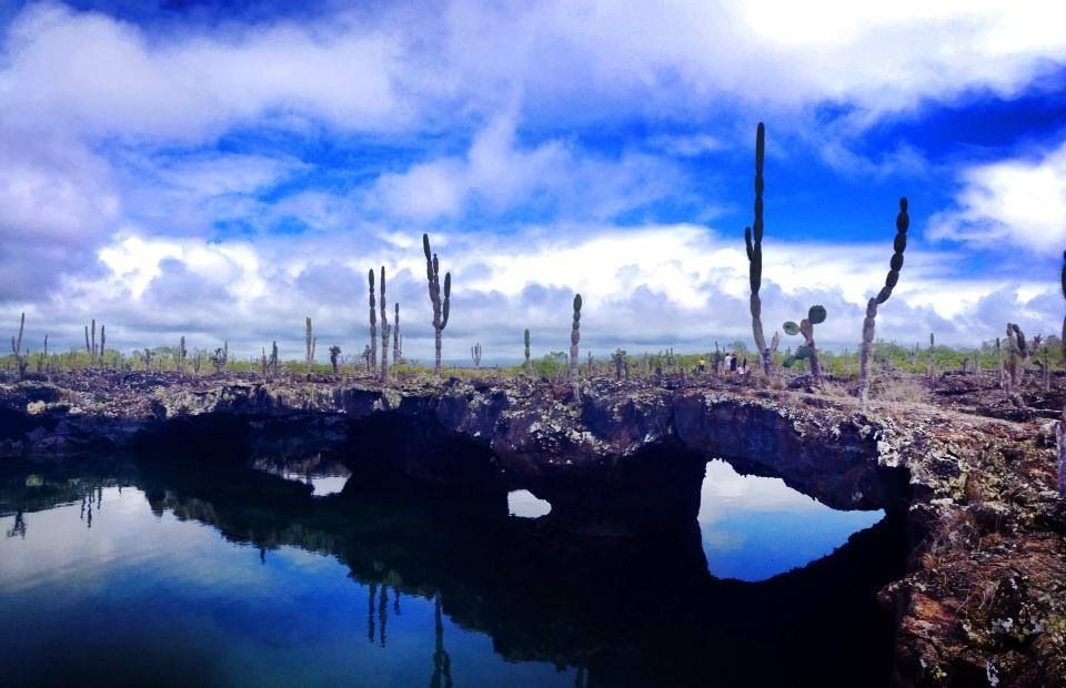 Los tunneles landscape with sparse trees and dark water under a cloudy blue sky in Galapagos