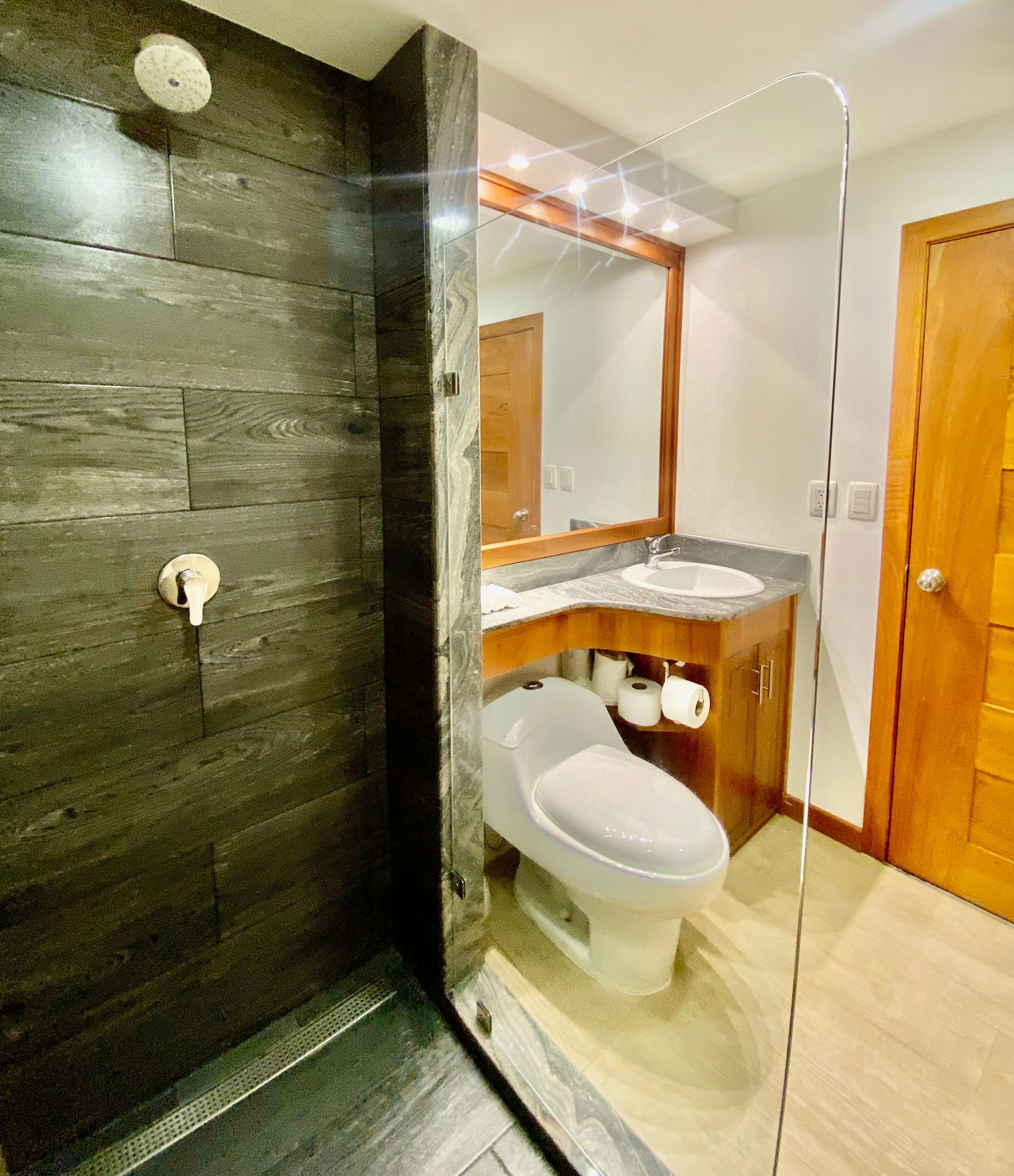Modern Galapagos hotel bathroom with walk-in glass shower, toilet, vanity, and wooden door.