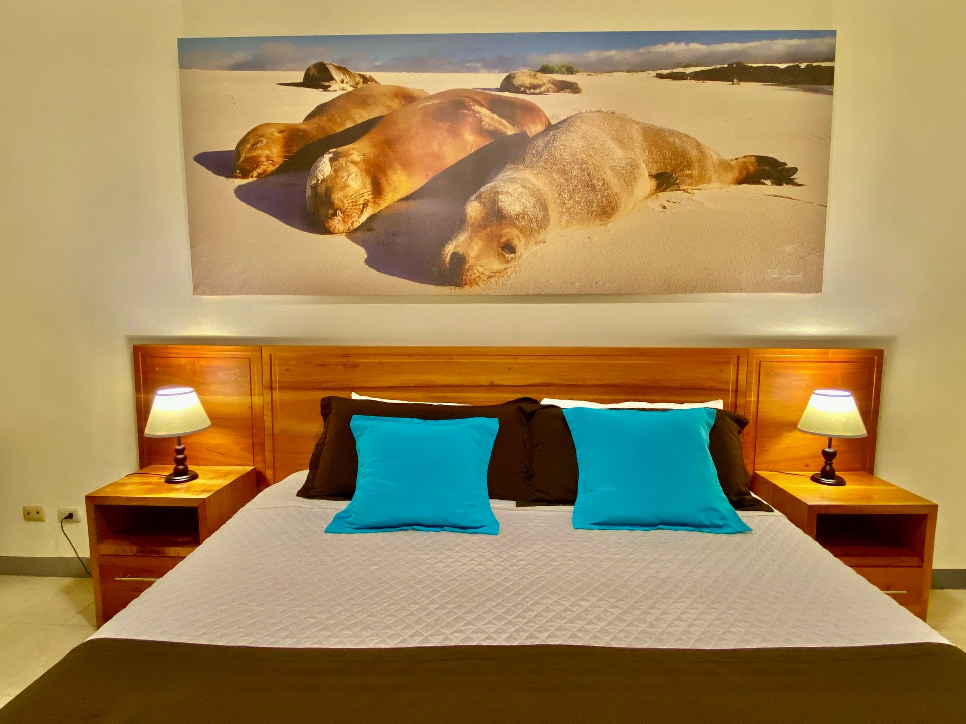A Galapagos Hotel Bedroom with wooden bed, blue pillows, bedside lamps, and seal photo above the headboard