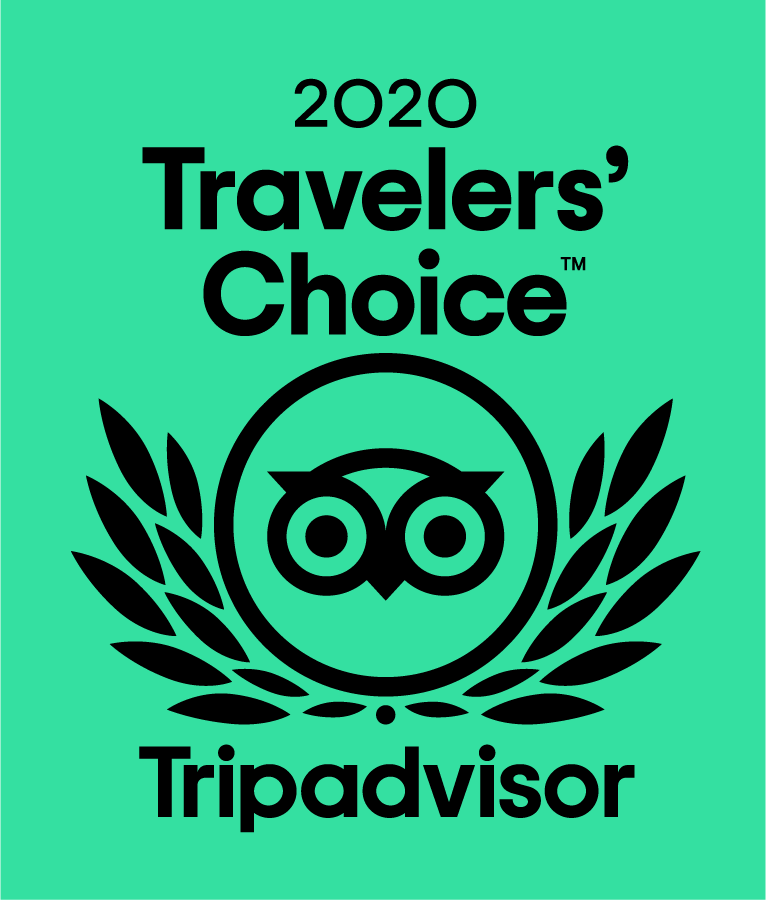 2020 TripAdvisor Travelers' Choice award badge with owl logo on green background