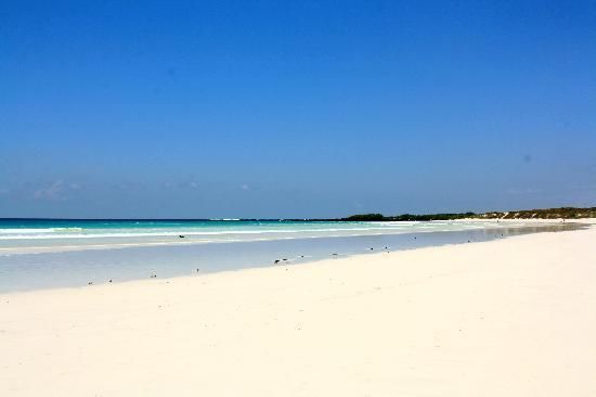 Sunny white-sand beach with turquoise water and clear blue sky in Galapagos