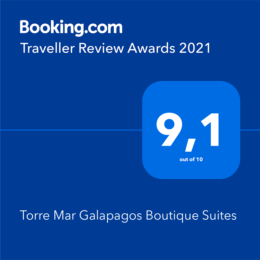 Booking.com Traveller Review Awards 2021 badge for Torre Mar Galapagos Boutique Suites, rating 9.1 on blue background