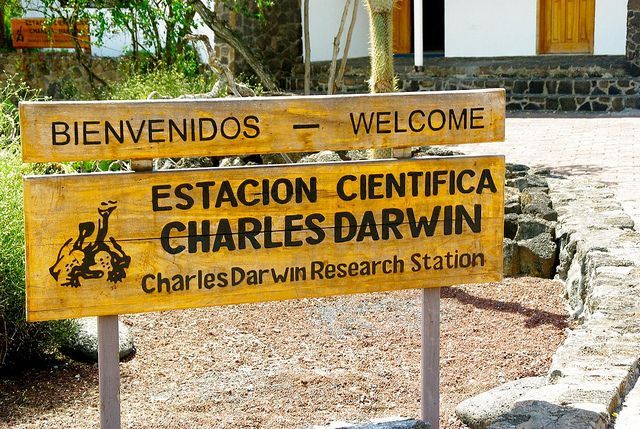 Wooden sign for Charles Darwin Research Station with “Bienvenidos” and “Welcome” in a garden setting in Galapagos