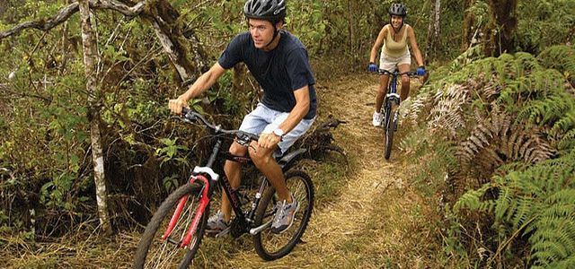 Two mountain bikers riding through a muddy forest trail, one in front and one behind in the Galapagos Islands.