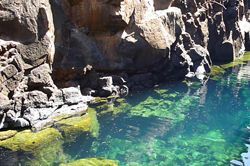 Rocky shoreline with clear turquoise water and sunlit algae along the edge in Galapagos