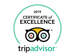 2019 TripAdvisor Certificate of Excellence logo with owl icon and teal circle