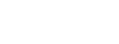 Primary Electric