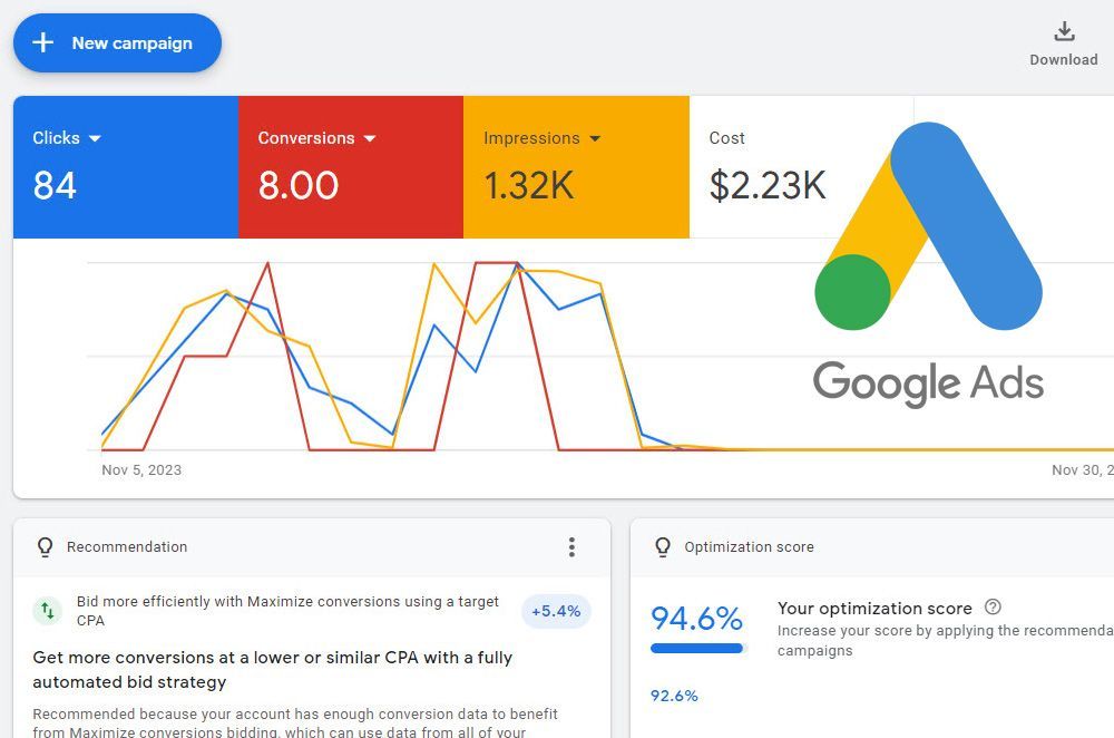 Google Ads Consulting