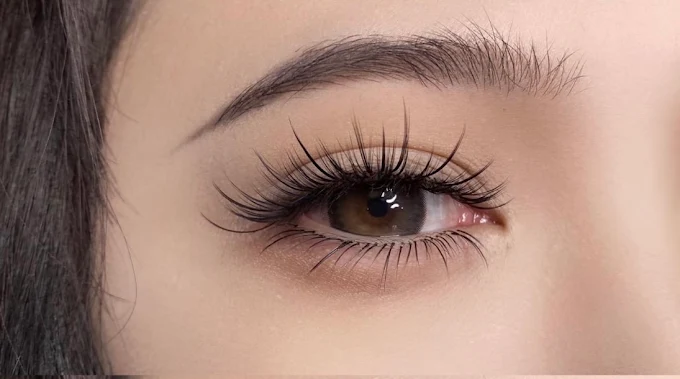 Close-up of a brown eye with long curled eyelashes and light makeup