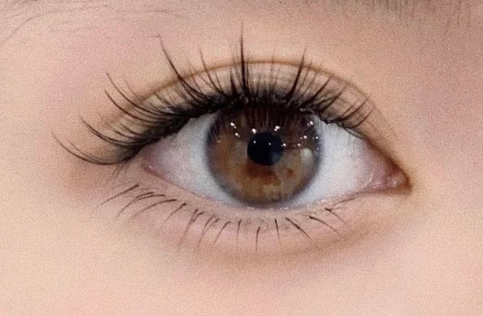 Close-up of a brown eye with long curled eyelashes and natural makeup