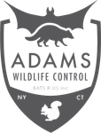 Adams Wildlife Control Logo Adams Wildlife Control Logo Footer