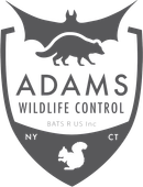 Adams Wildlife Control Logo Adams Wildlife Control Logo