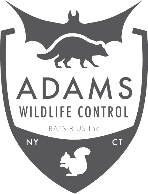 Adams Wildlife Control Logo Adams Wildlife Control Logo