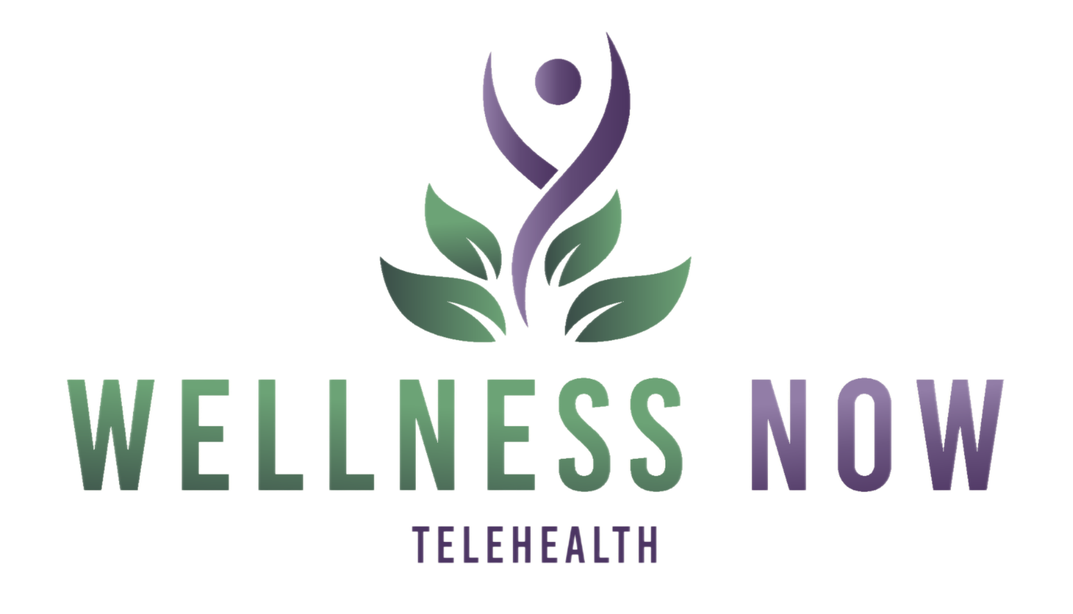 Logo: "Wellness Now" with green/purple design of a person, leaves, and "Telehealth."