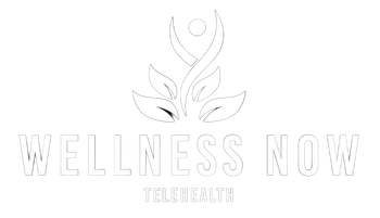 Wellness Now Telehealth logo: abstract leaves with a figure, text
