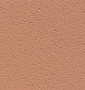 Pumpkin — Easy Mix Concrete in Berkeley Vale, NSW