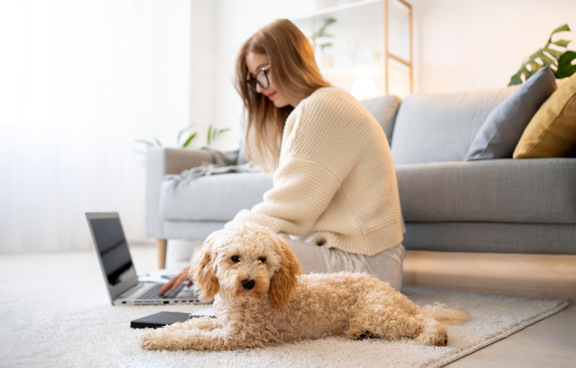 pet odor treatment cheney wa