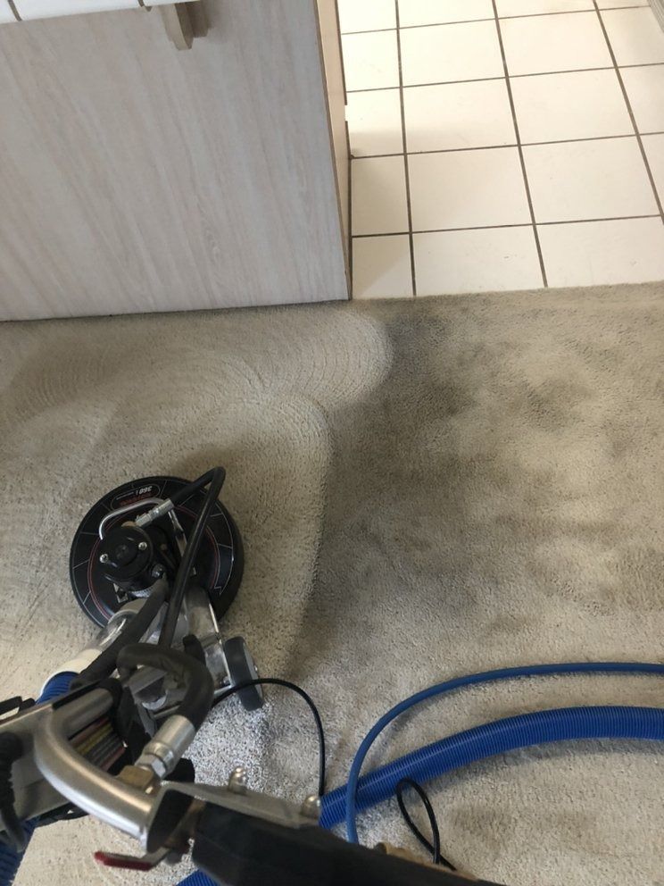 Vacuum cleaner on carpet beside a wall, with tiled floor visible nearby.