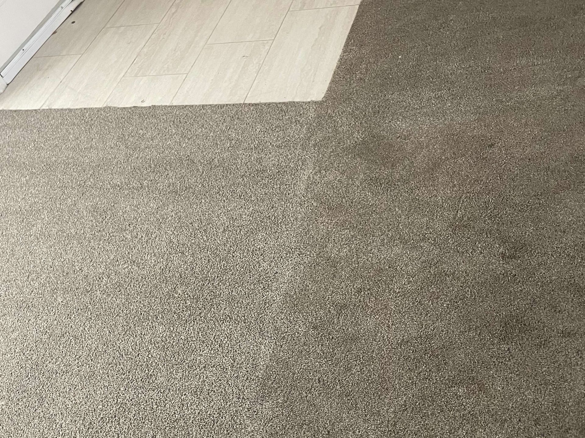 Carpeted floor meeting a light wood floor in a room corner
