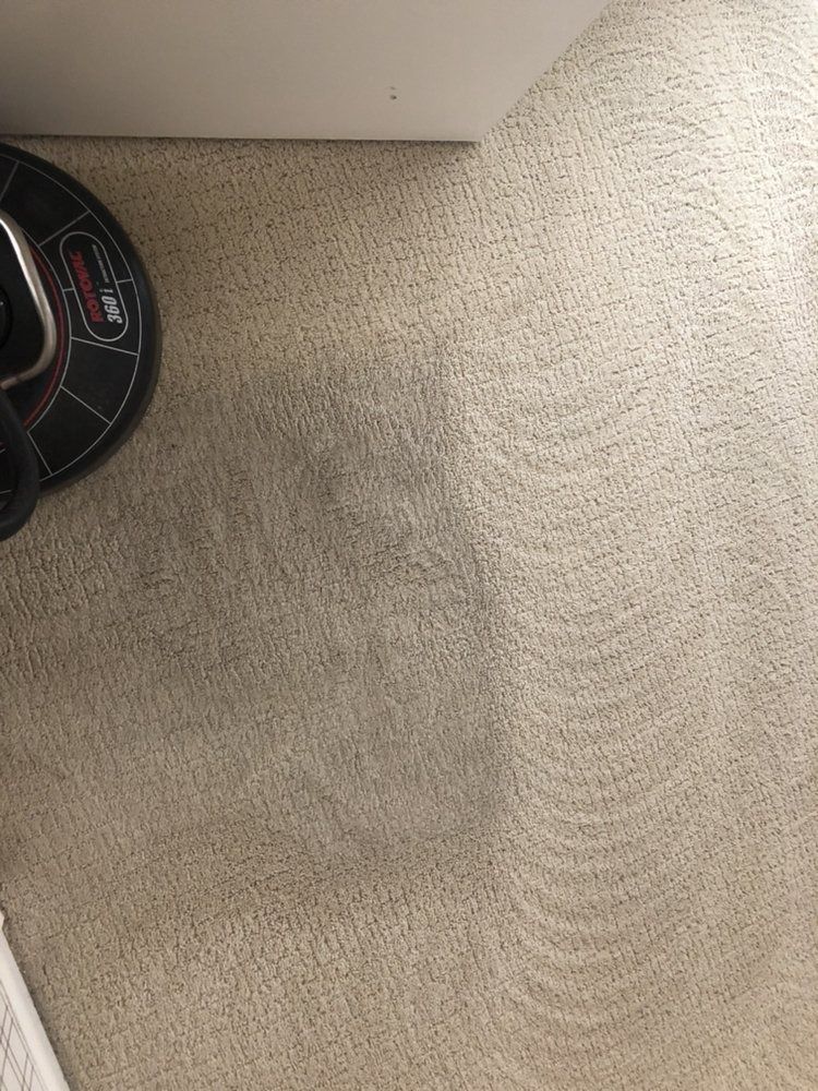 Beige carpeted floor with a black-and-red circular object partially visible in the top-left corner