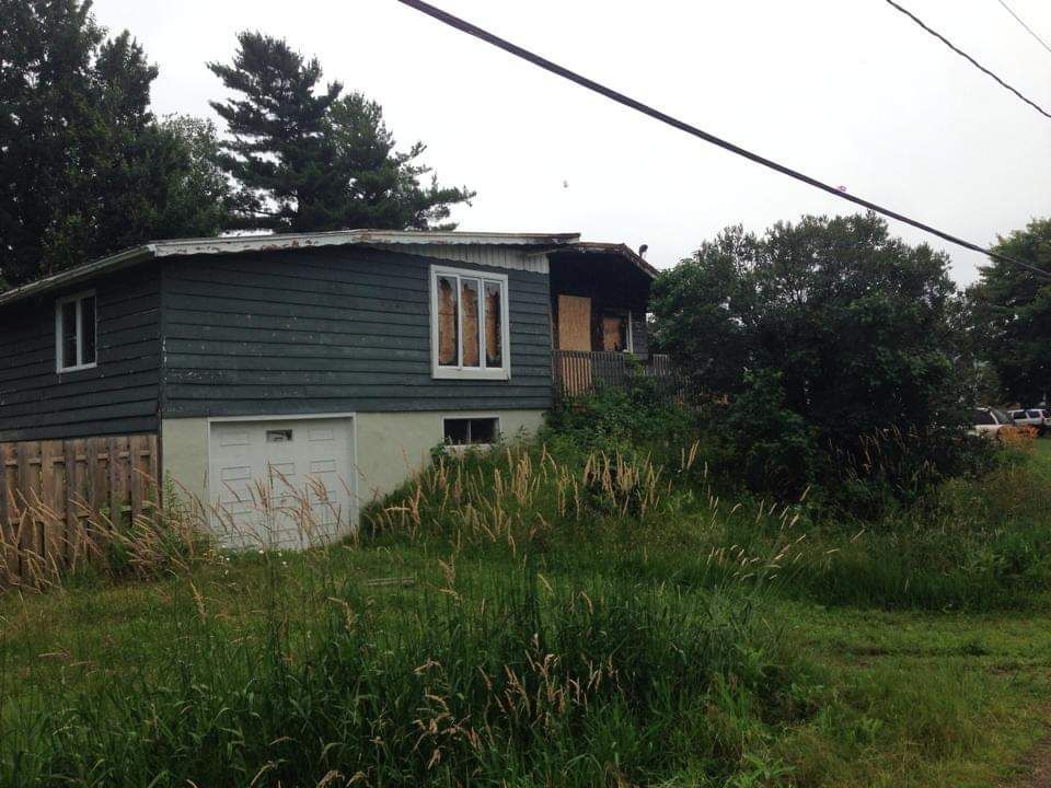 Une maison avec garage est entourée d'herbes hautes