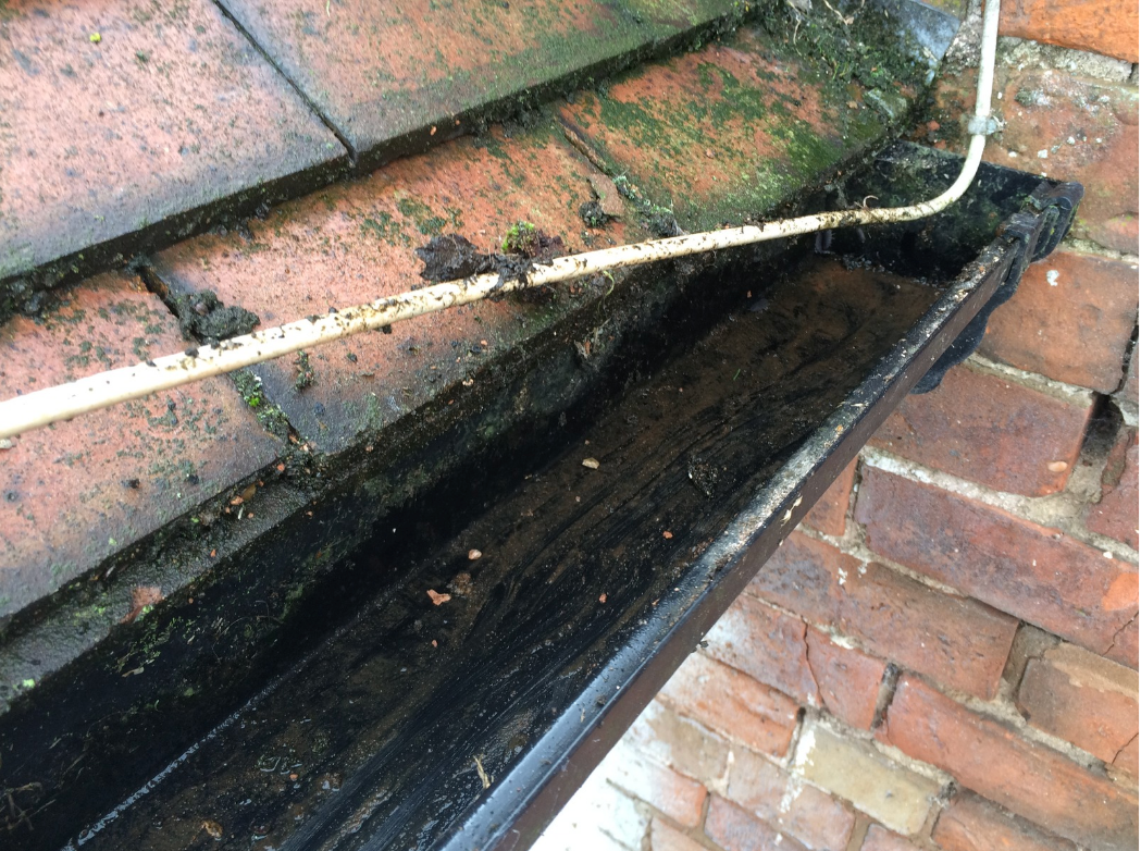 clear gutter