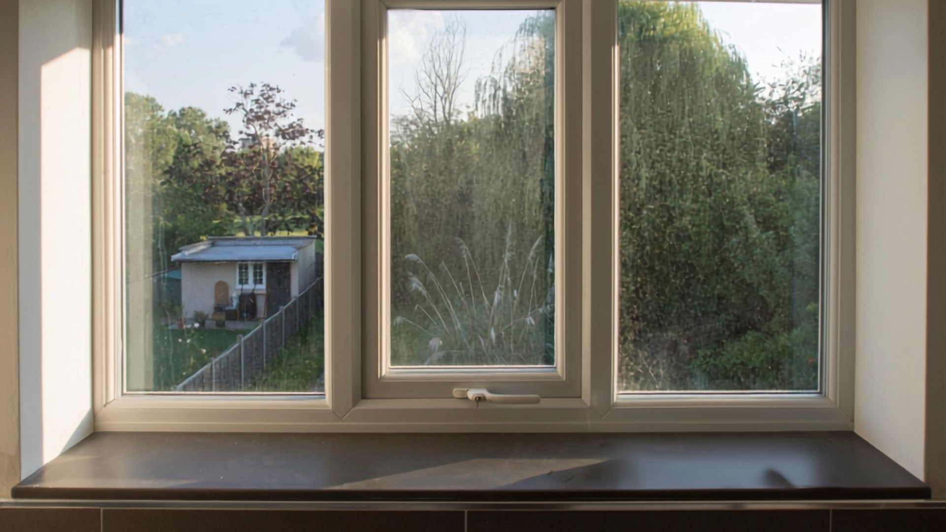 White-framed window above a dark windowsill, overlooking trees and a small shed in a backyard.
