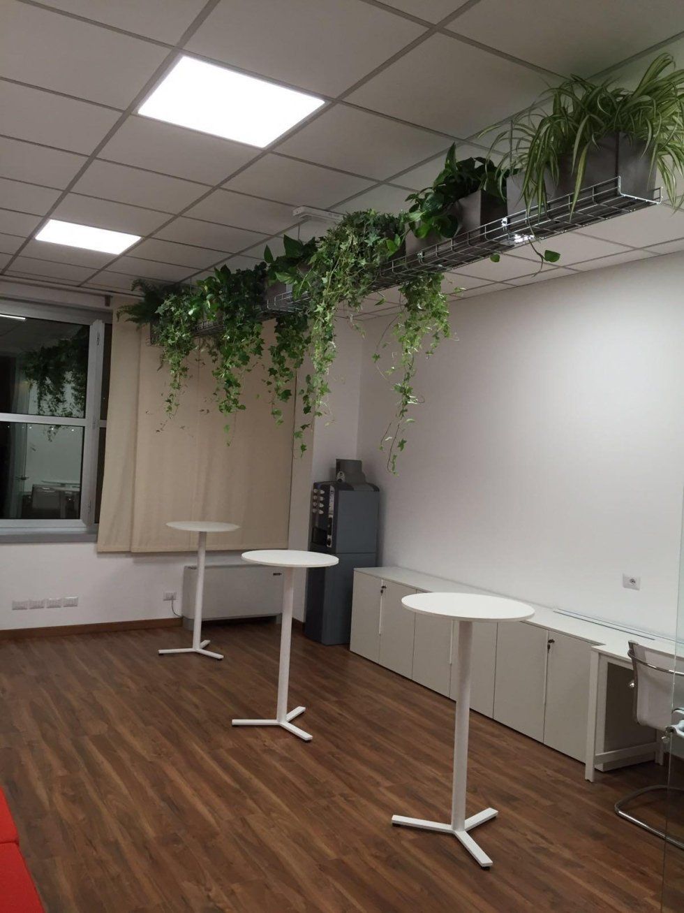 Una stanza con tavoli e piante appese al soffitto.