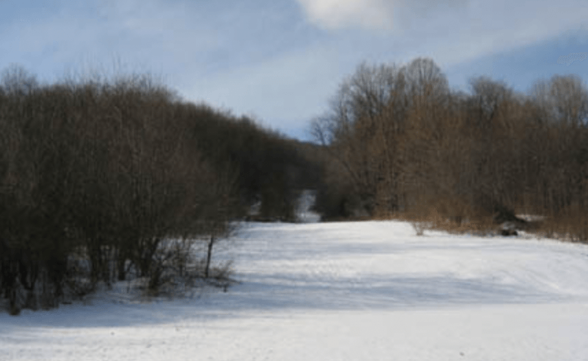 Fairchild Park