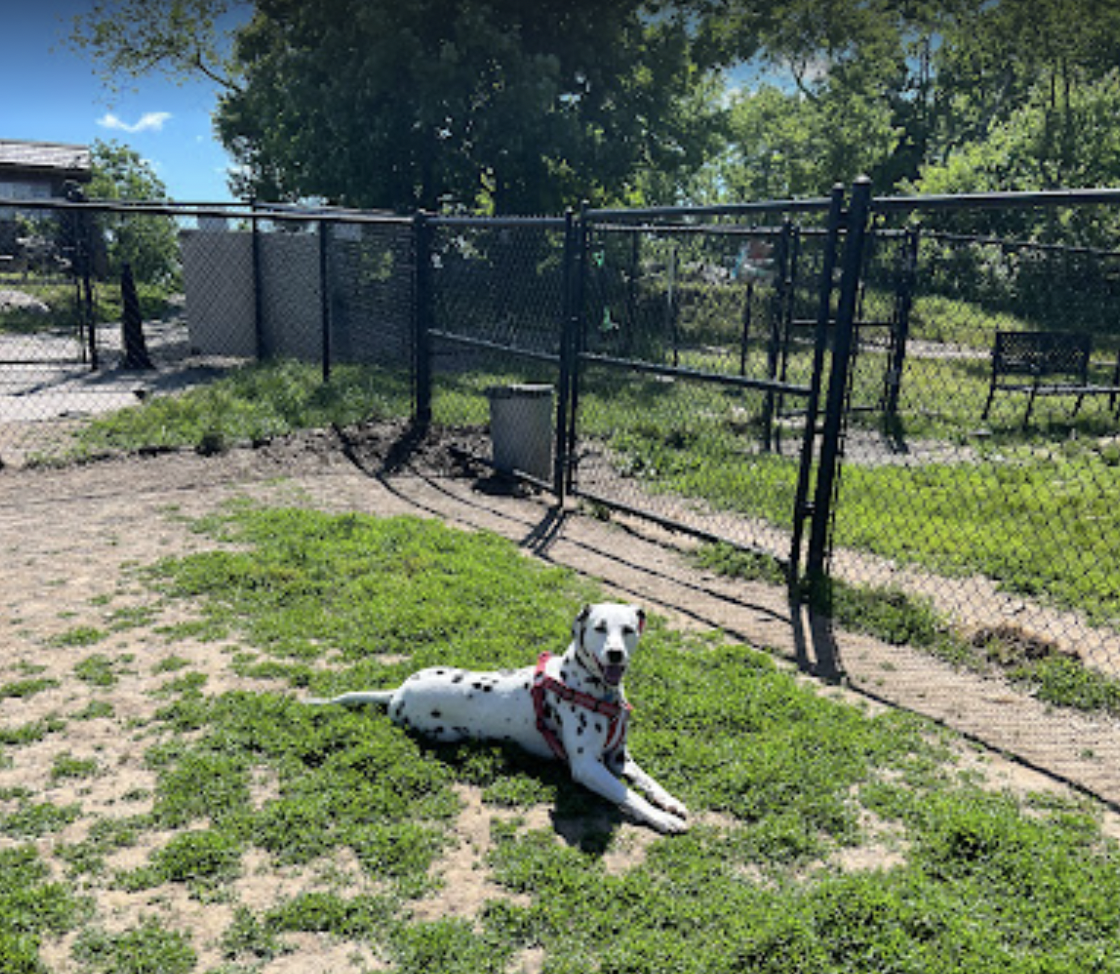 Naugatuck Dog Park