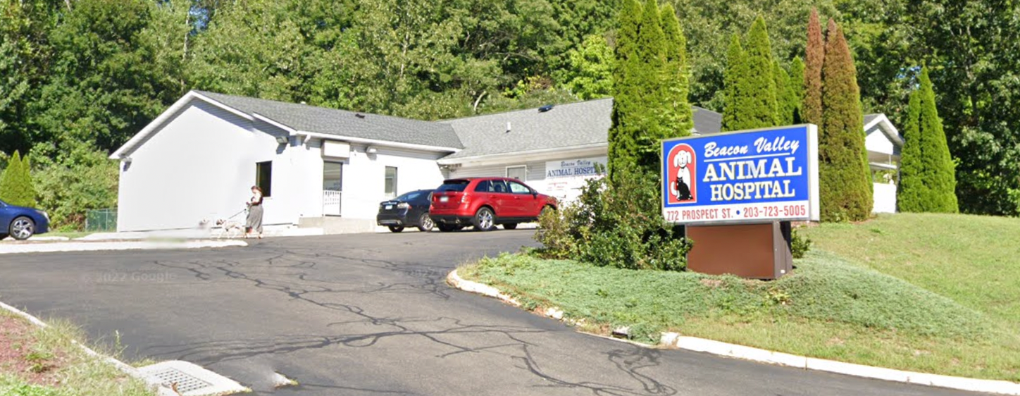 Veterinarians in Naugatuck