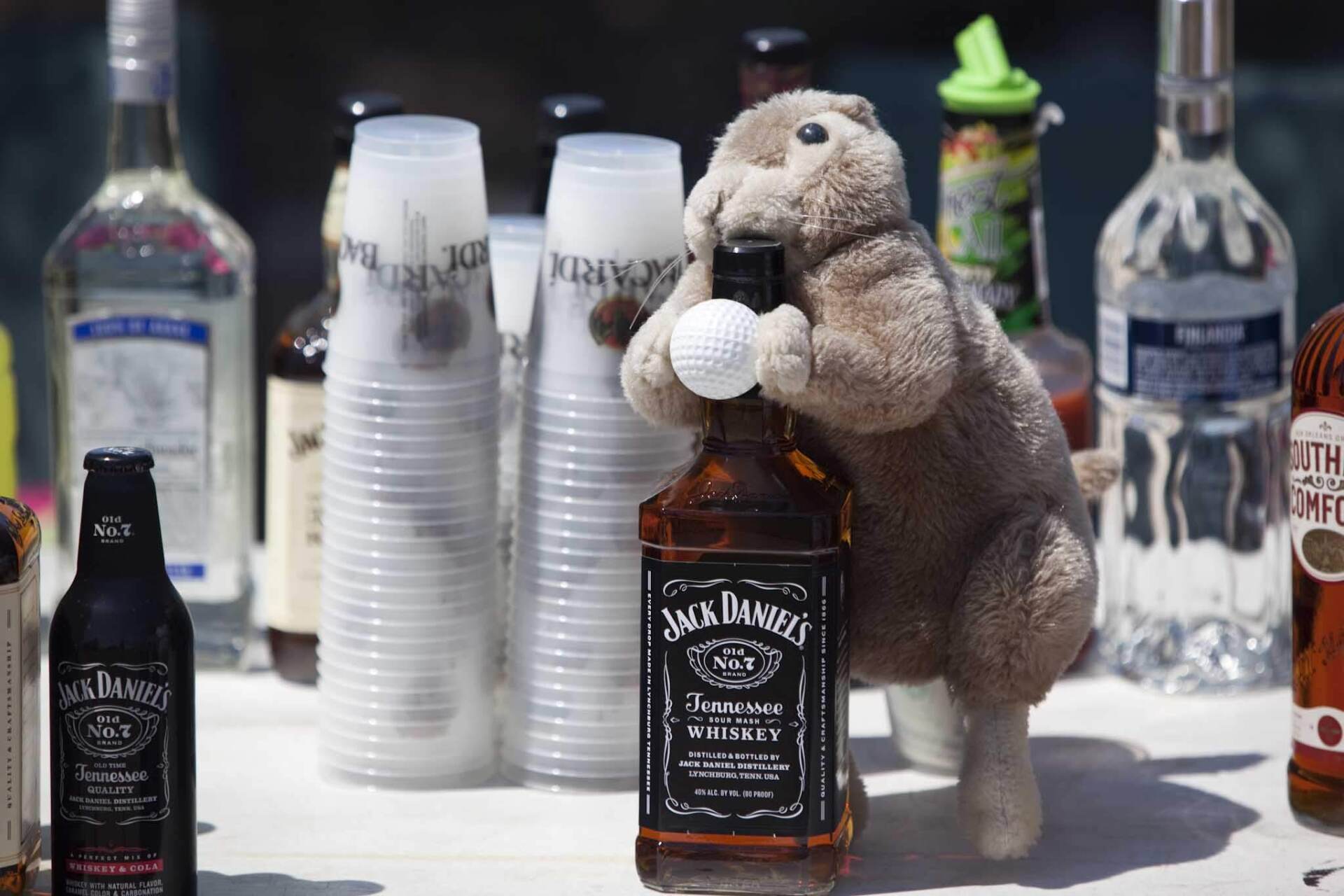 A plush gopher toy hugging a bottle of Jack Daniel’s Tennessee Whiskey, holding a white golf ball near a bar setup.
