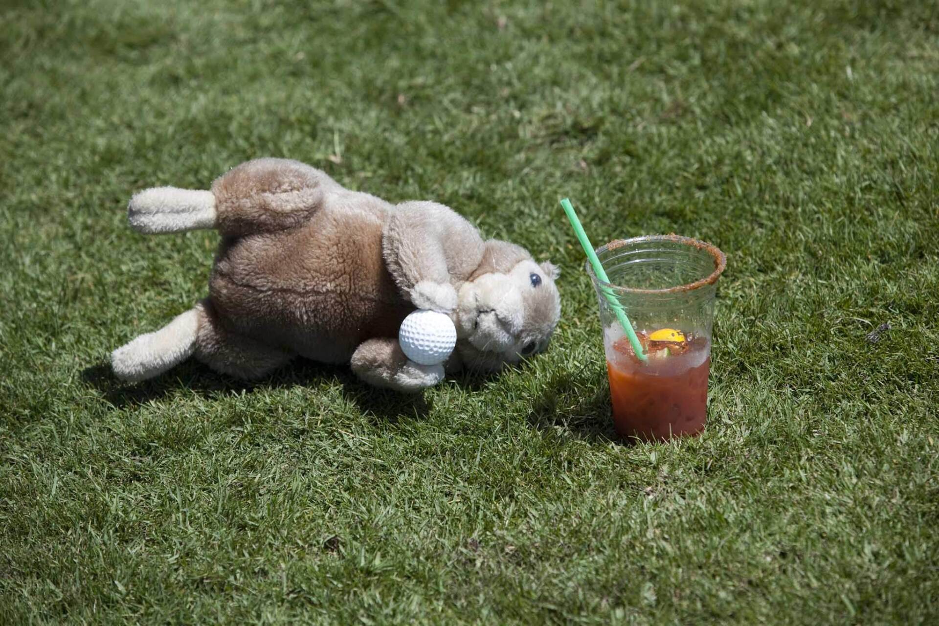 A stuffed gopher toy lies on a green grass lawn next to a golf ball and a plastic cup with an iced drink and straw.