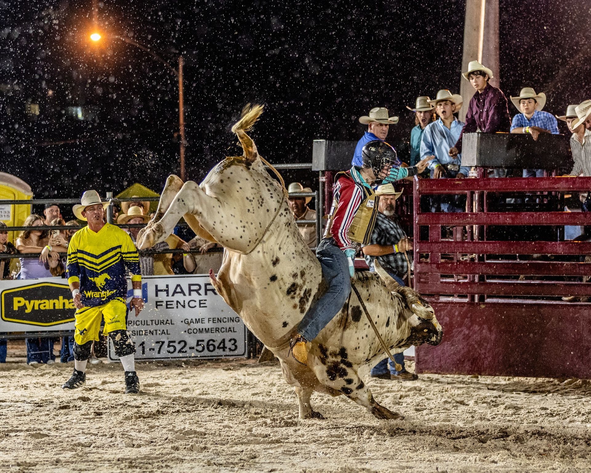 flora bama bulls on the beach rodeo