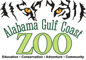 Logo for the Alabama Gulf Coast Zoo featuring stylized tiger eyes and stripes above the green word ZOO.