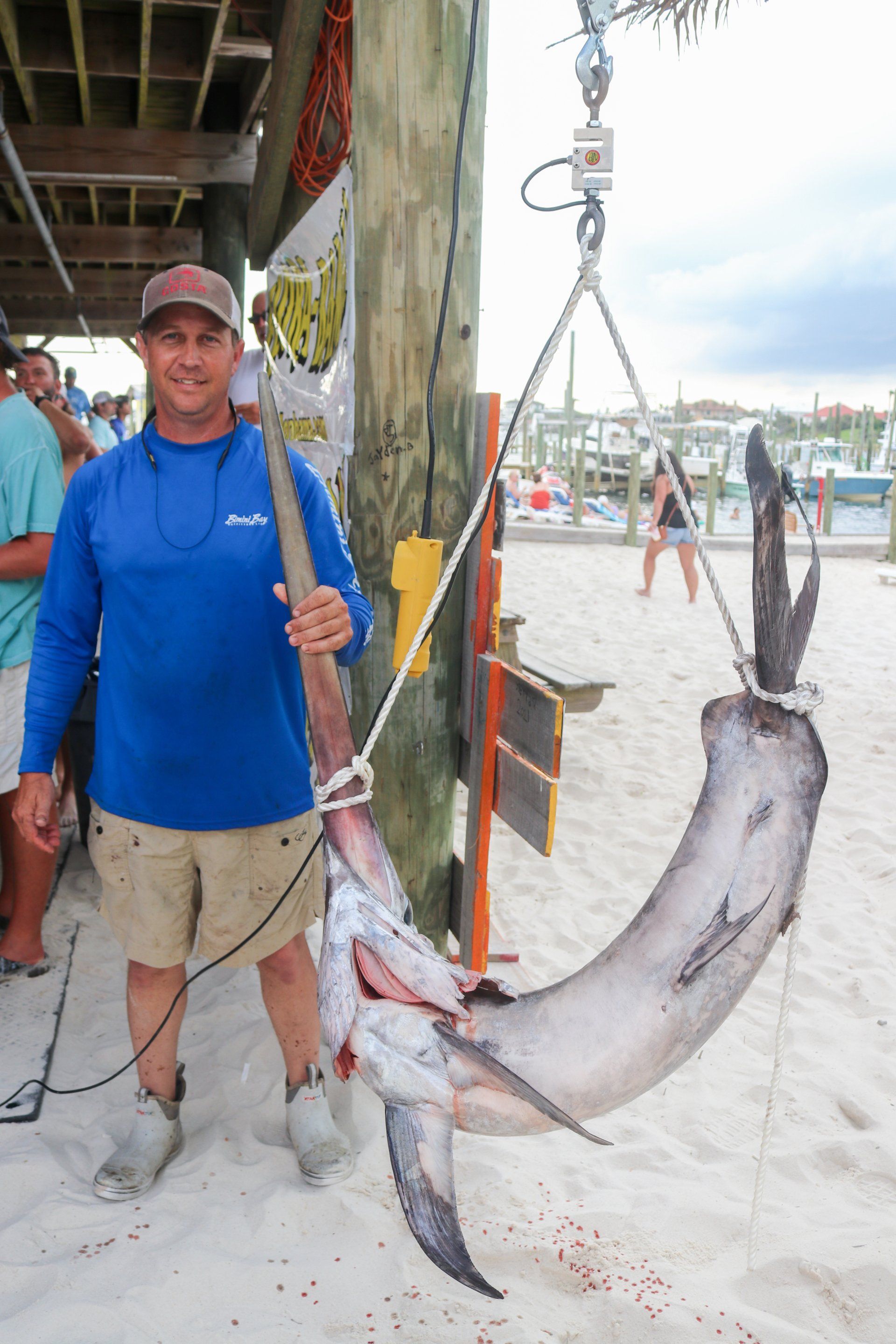 A person in a blue shirt standing on a sandy beach holding the bill of a large, freshly caught swordfish on a scale.