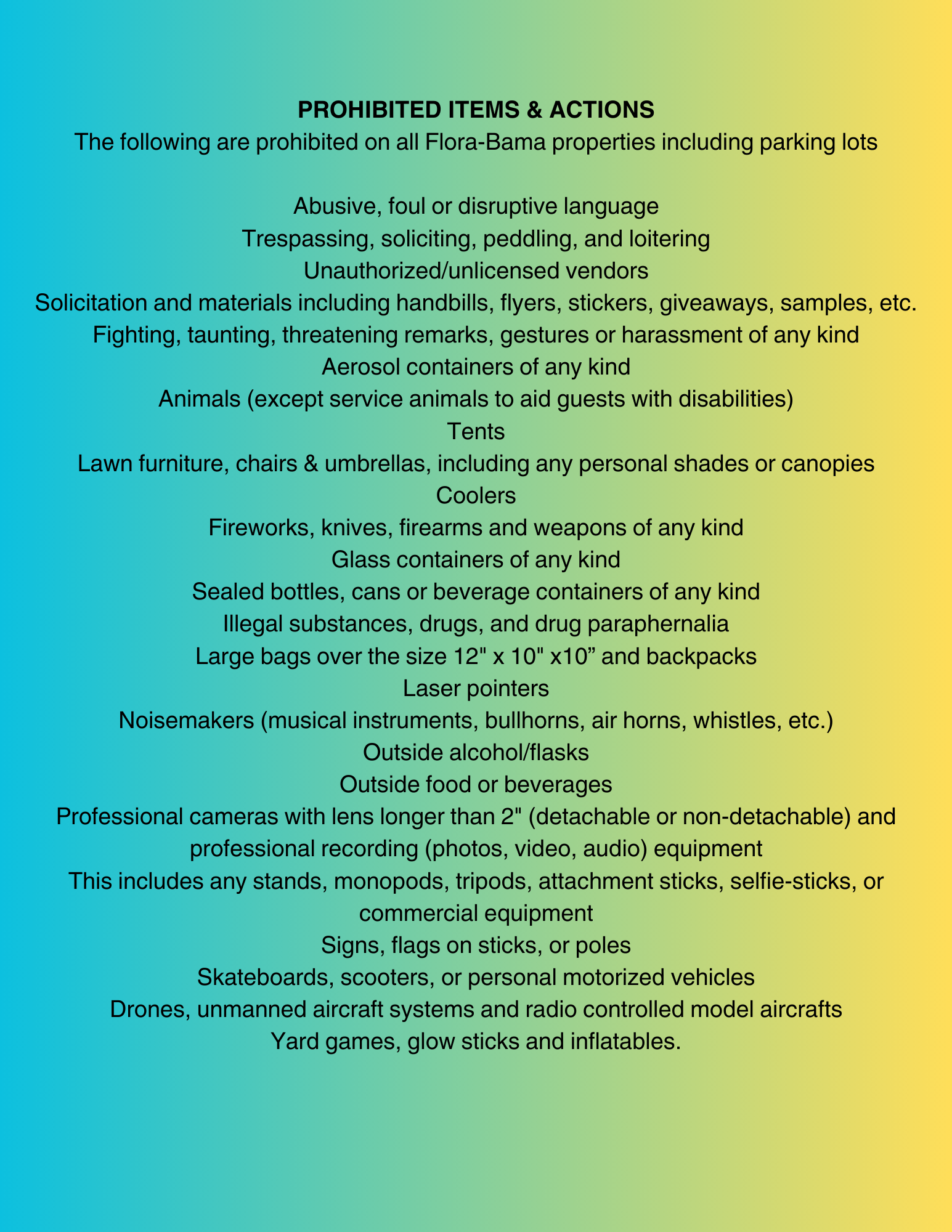 A list of prohibited items and actions for Plaza Rama, displayed as text on a blue-to-yellow gradient background.