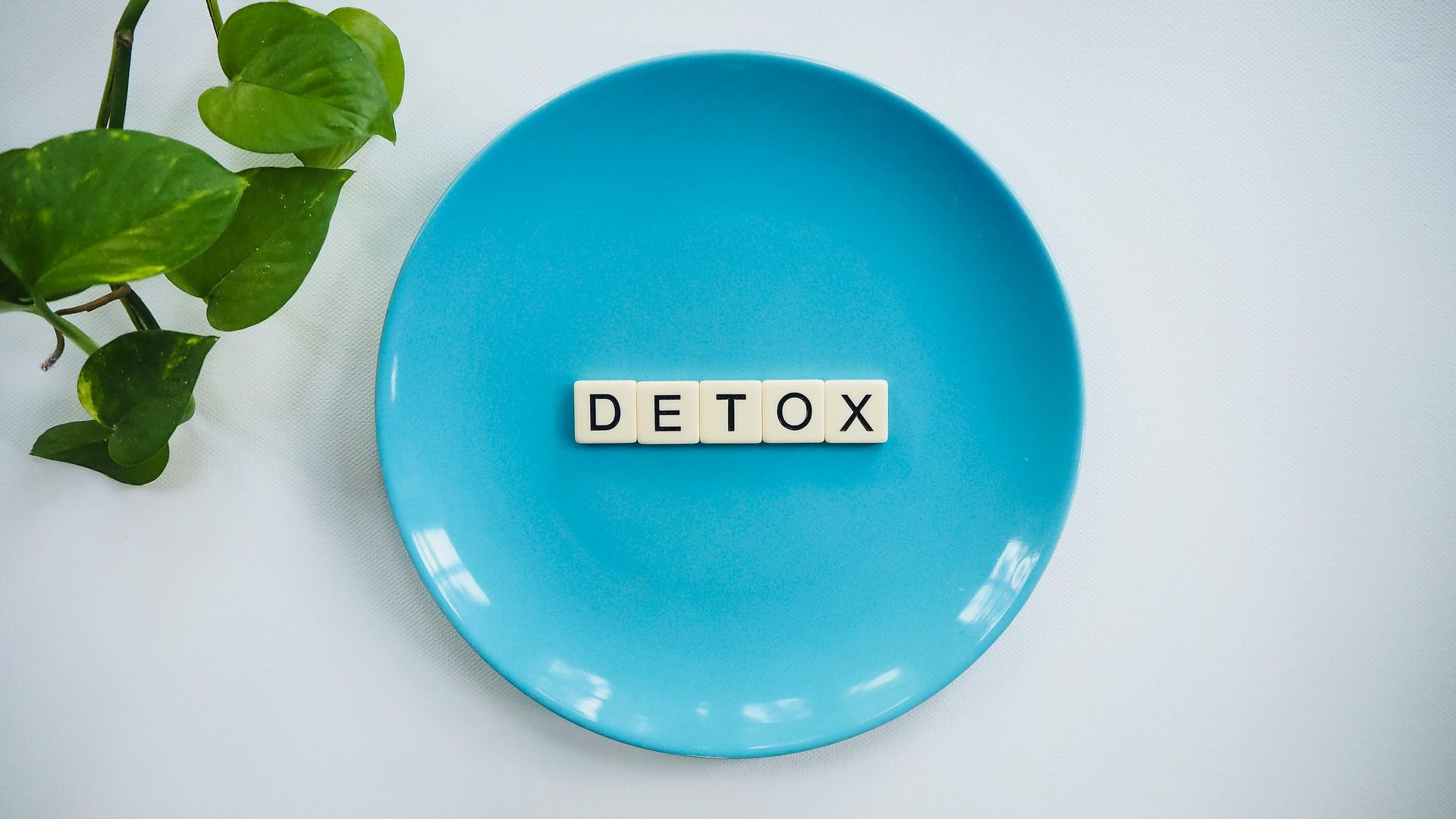 Blue plate with