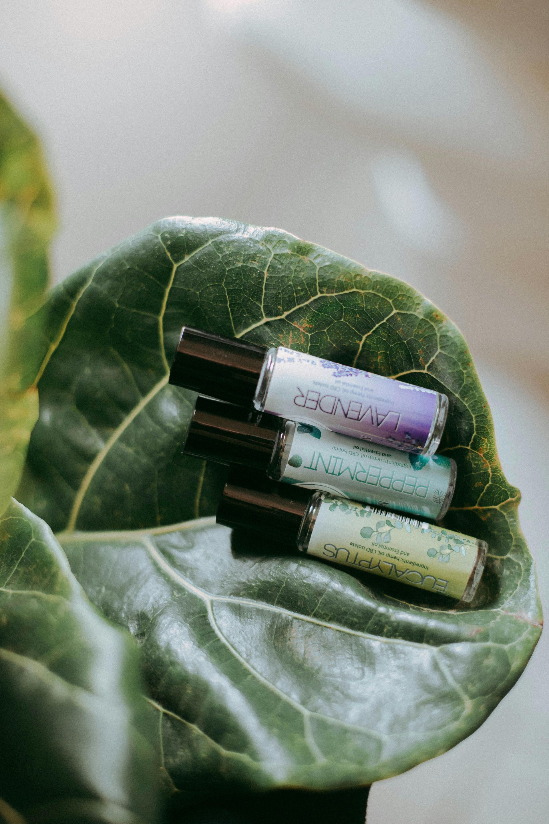 Rollerball essential oil bottles rest on a large green leaf; lavender, green, and yellow colors.
