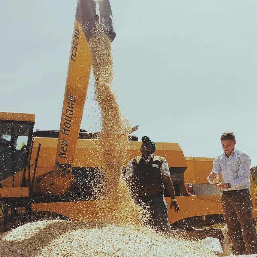 Two men are standing in front of a yellow new holland tractor